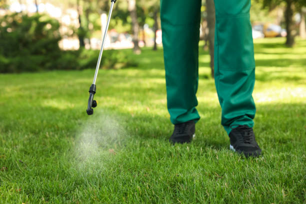 Best Flea Control Services  in Sumter, SC