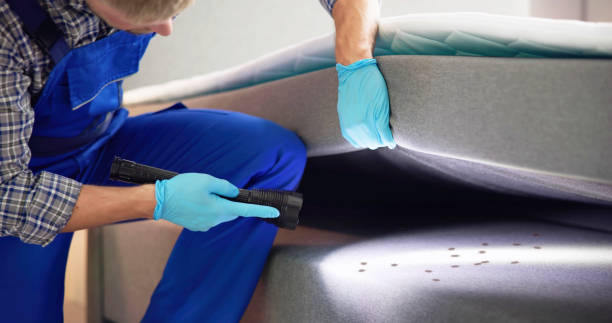 Best Pest Inspection Near Me  in Sumter, SC