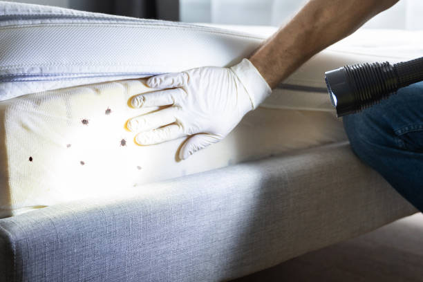 Best Pest Control Near Me  in Sumter, SC