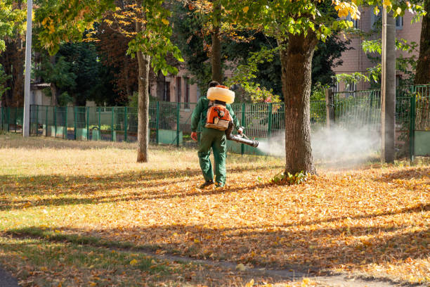 Best Pest Prevention Services  in Sumter, SC