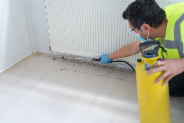 Best Affordable Pest Control Services  in Sumter, SC