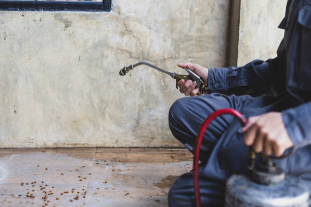 Best Pest Control Near Me  in Sumter, SC